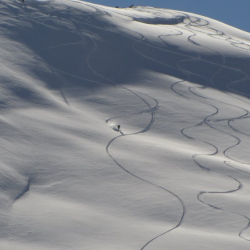 Тынчтыкбек Конушбаев: «Суусамырда беш миң гектар арпа аянты кар алдында калды"