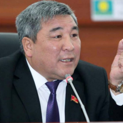 Рыскелди Момбеков: "Балдарга садака берип, кинологдордун иттерине эт берип жатабыз"