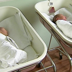 Өзбекстандык аял жаңы төрөлгөн ымыркайларды экинчи кабаттан ыргытып салды