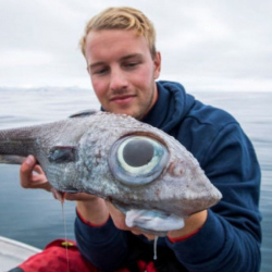 Норвегияда балыкчылар “башка планеталык” балыкты кармап алышты