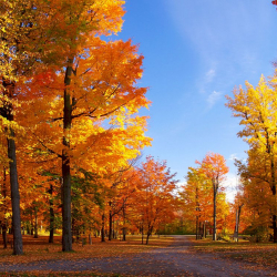 23-сентябрга карата аба ырайы тууралуу маалымат