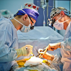 Мыйзамсыз орган алмаштыруу менен алектенген кылмыштуу топ кармалды