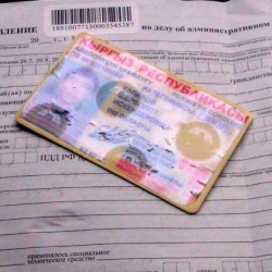 Жаңы айдоочулук күбөлүк качан берилери белгилүү болду