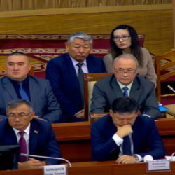 «Кесиптик кошуундар жөнүндө» мыйзамдын долбоорунда кайсы депутаттын кызыкчылыгы бар экени билинди