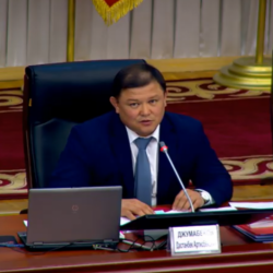 Депутаттары кандай болсо, өкмөтү ага жараша