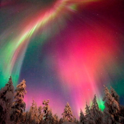 Түндүк жаркырагын көрдүңүз беле? Сезон башталды