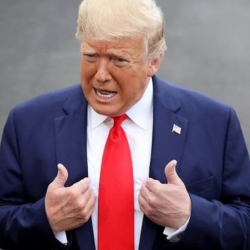 Конгрессмены запросили документы о разговоре Трампа и Зеленского