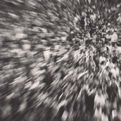 Турак жайды милдеттүү камсыздандыруудан кимдер бошотулат?