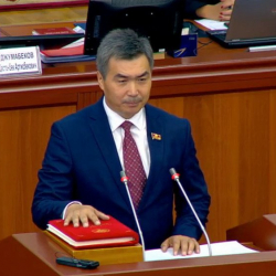 Жаңы депутат Сыдыгалиевдин ити чөп жей баштаптыр