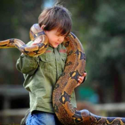 БОЛГОН ОКУЯ: "Жыландар уулумдун мойну-башына, колу-буттарына оролушуп жатышты"