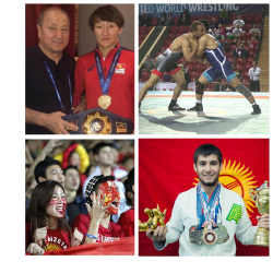 СҮРӨТ - Келемиштер ташыган алтынды спортчулар кайра кайтарып жатат