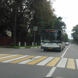 ВИДЕО - Нерв жукартып, жин келтирген жолдогу жоруктар