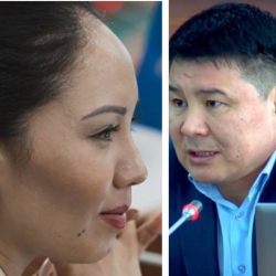 Экс-депутат Лунара Мамытова Жогорку Кеңештеги айрым “шабашка” болчу жагдайды ачыктады