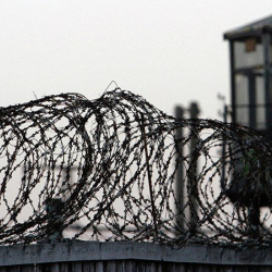 Чүйдөгү түрмөдөн качууга аракет кылган кылмышкерди күзөтчүлөр атып салышты