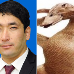 Абылгазиев “өрдөк эти” менен өкмөттүн аппарат жетекчисинин орун басарын иштен алды