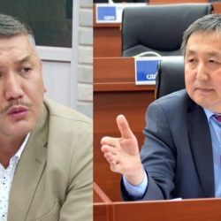 Парламенттик шайлоо мөөнөтүнөн мурда болобу?