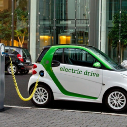 Чиновниктер Тесла минип калышы мүмкүн