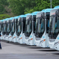 Айдоочулардын теңинен көбү жол эрежесин билбейт