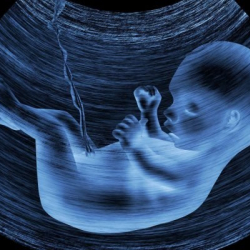 Болгон окуя: Жарыкка келчү наристенин тагдырын өзгөрткөн бир түш