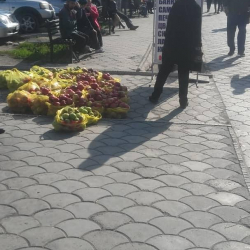 Базарларда башаламан соода кылгандар тартипке салынууда