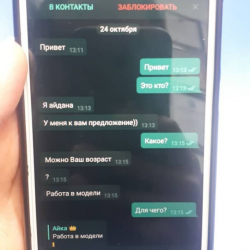 Бишкектиктерге мессенжерлер аркылуу кооптуу билдирүүлөр келүүдө