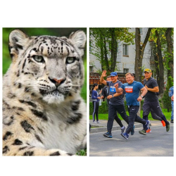 ВИДЕО - Депутаттарды артист, эки жүздүүлөр десең арданышат