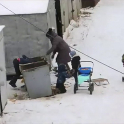 ВИДЕОФАКТ – Таштандыдан тамак издеген үй-бүлө изделүүдө