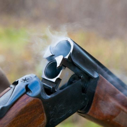 72 бөкөндү өлтүрүп, мүйүзүн кесип кеткен ...