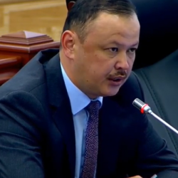 ВИДЕО - Улан Примов, депутат: “Акчасын берип жатса, Кыргызстанда уран казганга эмне үчүн жок дешибиз керек?
