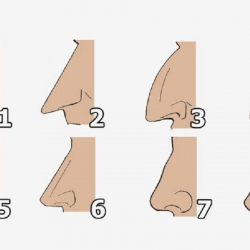 Мурундар сүйлөйт! Мурдуңузга карап өзүңүздү билип алыңыз (тест)