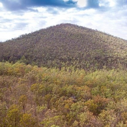 Тоо сатып алгыңыз келеби? Австралияда 620 миң долларга тоо сатылып жатат