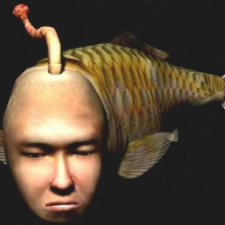 ВИДЕО - “Жүзү адамдыкына окшош балык” соцтармактын колдонуучуларынын үрөйүн учурууда