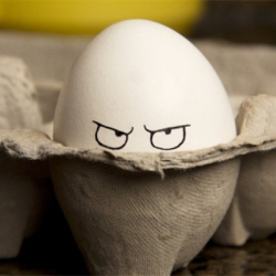 Жумурткадан каза тапты