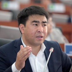 Эми партлидерлер эч нерсе чечпей калат