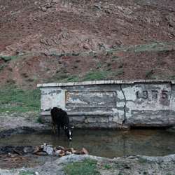 Өкмөт миң-куштуктарды өз каражаттарына көчүрө албай убара