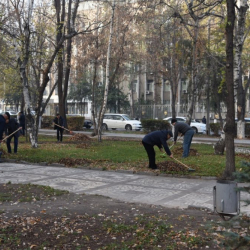 ФОТО - ИИМдин борбордук аппаратынын кызматкерлери ишембиликке чыгышты