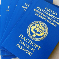 Быйыл эле мыйзамсыз 36 паспорт берилген. Бул билингендери гана