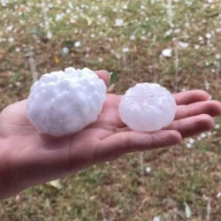 Австралияда тооктун жумурткасынын көлөмүндөй мөндүр жаады