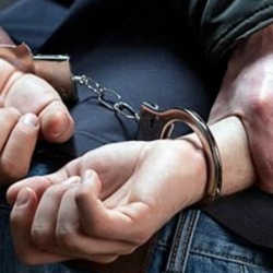 В Кеминском районе задержан мужчина по подозрению в краже лошадей