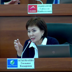 Депутат Асылбаева кыргыз тилин үйрөткүлө деп коомчулуктан жардам сурады