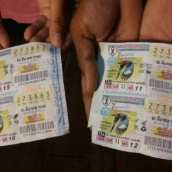 Утушка ээ болгон лотереяны алып күйөөсү аялынан качып кетти