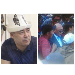 Садыр Жапаров кимдин өтүнүчү менен президенттен ырайым сурагандыгы белгилүү болду