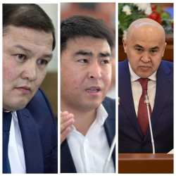 Саймаитинин өлүмүн депутаттык комиссия иликтейт