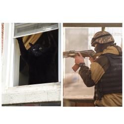 120 миллион сом үчүн УКМК  бир министрлик менен "тытышып" жатат. Жеңүүчү аныктала элек