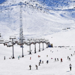 Атамбаевге таандык “Чуңкурчак” тоо-лыжа курорту канча салык төлөгөн?