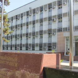 Чет жактагы кыргызстандыктардын консулдук каттоого турушу жеңилдеди