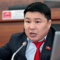 От гомосексалю до Аттилы. Депутатам советуют пройти обучение в школе