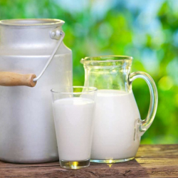 Өткөн жылы  Кыргызстанда өндүрүлгөн сүттүн көлөмү 1 миллион 627 миң тоннага жетти