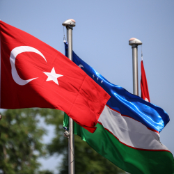 Түркия - Алжир бирдикте завод курат