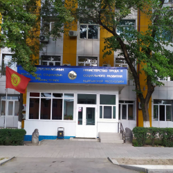 Эмгек жана социалдык өнүгүү министрлигине жарандардан 1926 арыз келип түшкөн